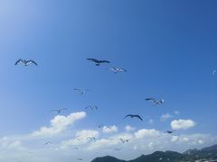 -海驴岛(荣成市)
