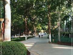 -康庄公园
