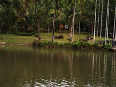 -呀诺达热带雨林