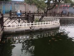 -河北村民俗体验园