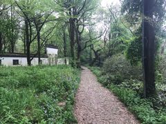 -西湖风景区十里琅珰-五云山