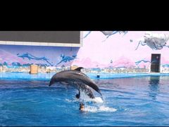 -北戴河圣蓝海洋公园