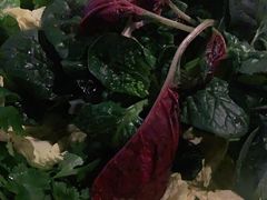 蔬菜拼盘-老墙根涮肉·铜锅·烧烤(欢乐谷·王四营店)