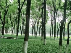 -重庆市江北嘴中央商务区中央公园