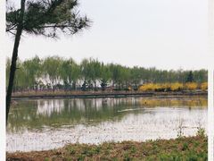 -兰陵国家农业公园