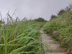 -九峰山
