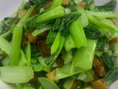 -全乐鱼馆·淳牌有机鱼直营店