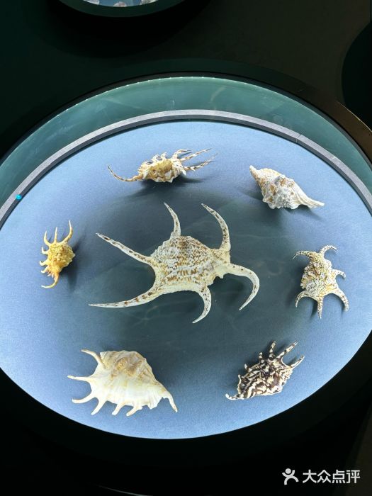 中国湿地博物馆图片