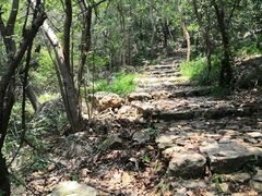 -紫金山山顶公园