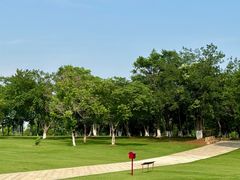 -盘龙城国家考古遗址公园