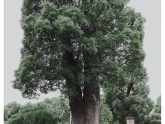 -韩湘水博园