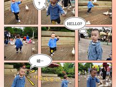 -南昌之星游乐场