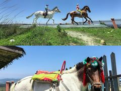 -龙里油画大草原旅游区