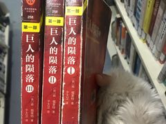-同济大学（四平路校区）-图书馆
