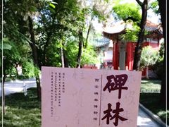 -西安碑林博物馆