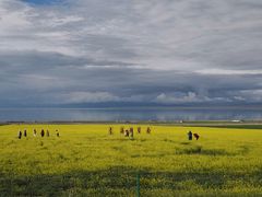 -青海湖国家重点风景名胜区