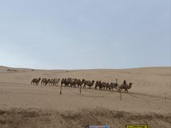 -玉龙沙湖景区