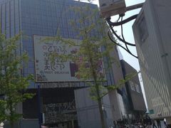 -凯德MALL(望京店)