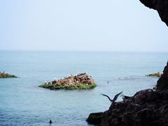 -海驴岛(荣成市)