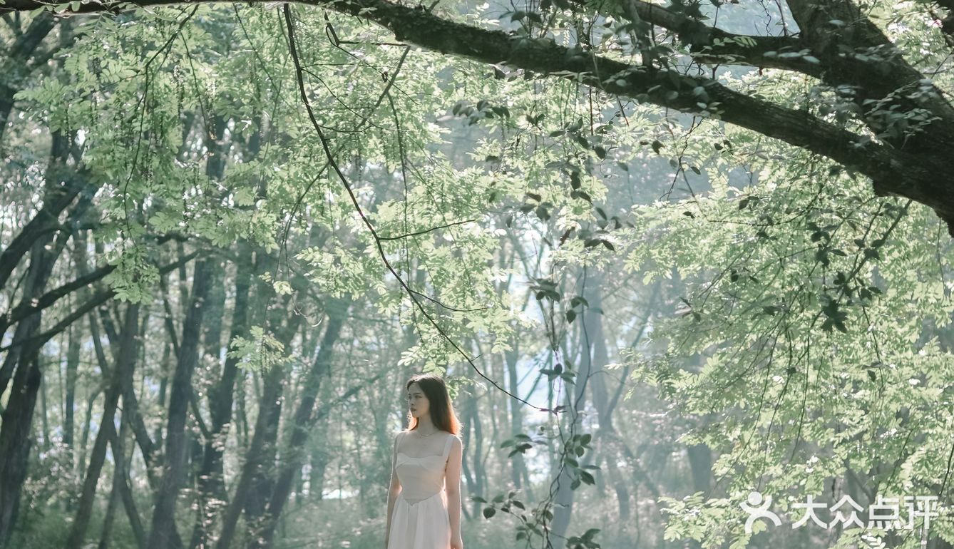 黄山·西溪南古村落 | 闯入童话中的绿野仙踪