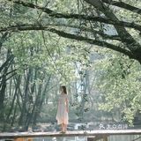 黄山·西溪南古村落 | 闯入童话中的绿野仙踪