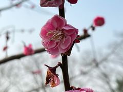 -青龙山公园