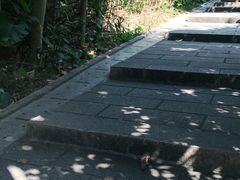 -莲花山公园