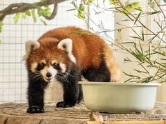 -海合安武汉极地海洋公园