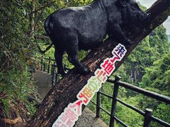 -蝶舞清江·恩施地心谷景区