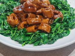 -品悦酒店(三林古镇店)