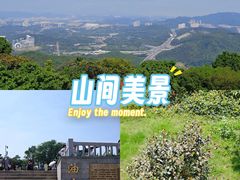 -黄埔油麻山森林公园
