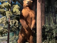 -陕西自然博物馆