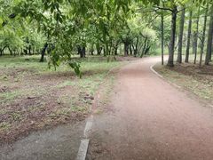 -长春市南湖公园