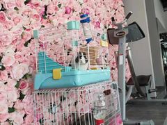 -UltraForce超源健身私教工作室(长楹天街精品店)