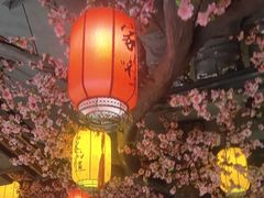 -大胡同天津菜·海肠捞饭·津门皮皮虾锅贴一绝(西姜井店)