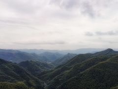 -鹿亭中村