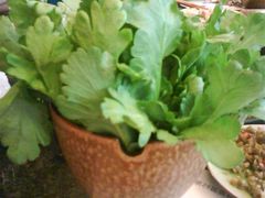 茼蒿-王家渡火锅店(棕榈泉店)