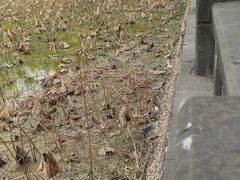 -四川大学(华西校区)