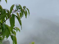 -北京鹫峰国家森林公园