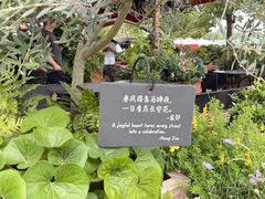 -比斯特上海购物村精品奥特莱斯