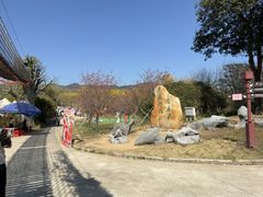 -天适樱花悠乐园