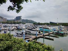 -大梅沙海滨公园
