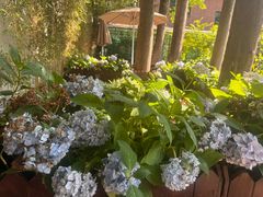 -一尺花园(安和花园店)