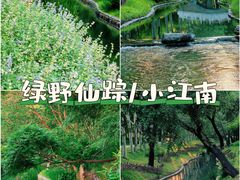 -北坞公园