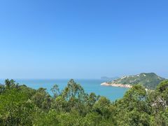 -广东惠东海龟国家级自然保护区