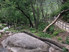 -大岭沟猕猴桃谷风景区