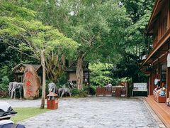 -野象谷景区