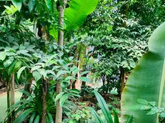 -呀路古热带植物园