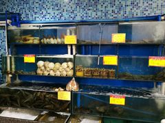 -蚝专家(北滘店)