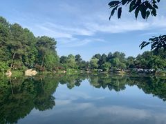 -铁山坪森林公园